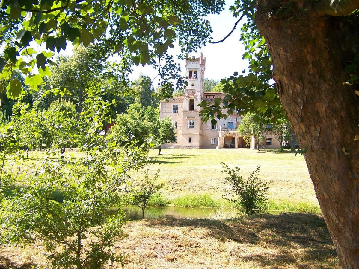 Palac Dabrowica Dabrowica (Jelenia Gora)