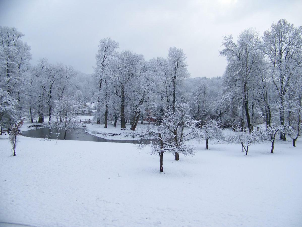 Фермерський будинок Palac Dabrowica Dabrowica (Jelenia Gora)