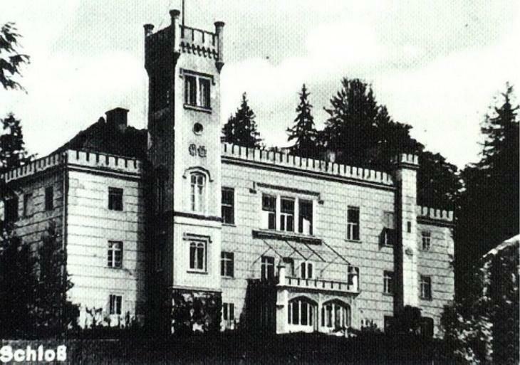 Palac Dabrowica *