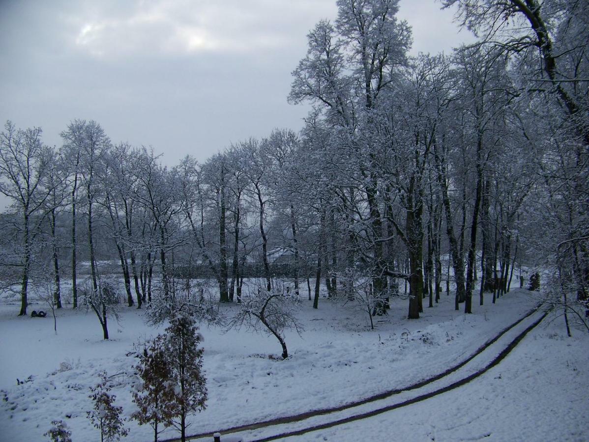 Palac Dabrowica Фермерський будинок *
